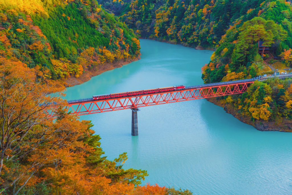 Discover remarkable Japanese sights like the steam train crossing the Oigawa Railroad when you take a tailor-made holiday with Alfred&.