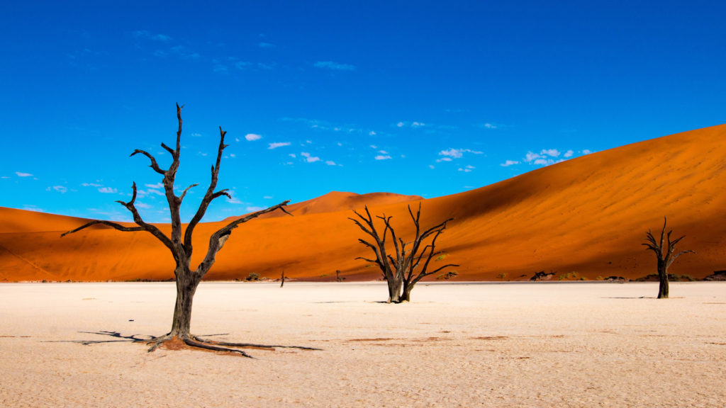 Deadvlei in Sossusvlei, Namibia