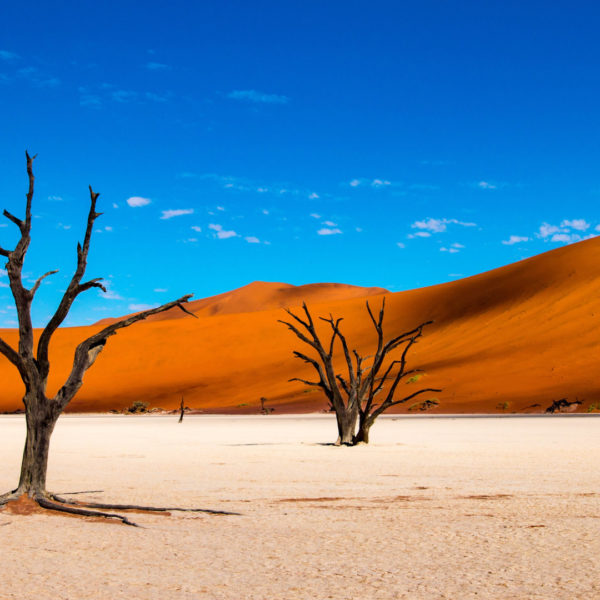 Deadvlei in Sossusvlei, Namibia