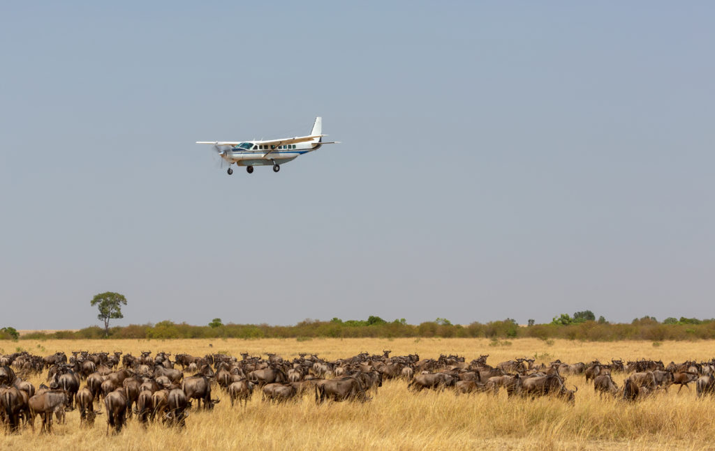 Experience remarkable Kenya sights like this savannah view from a Cessna plane when you take a tailor-made holiday with Alfred&.